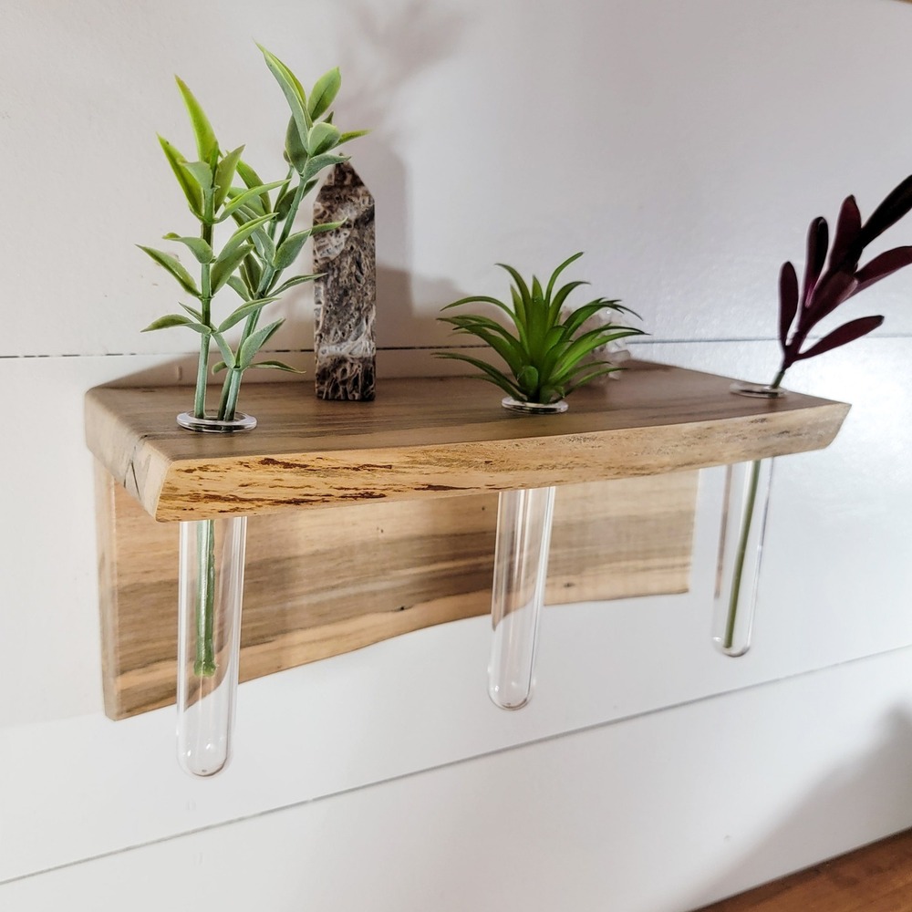 Live Edge Wood Wall Propagation Station with 3 Test Tube Vases Rustic Boho